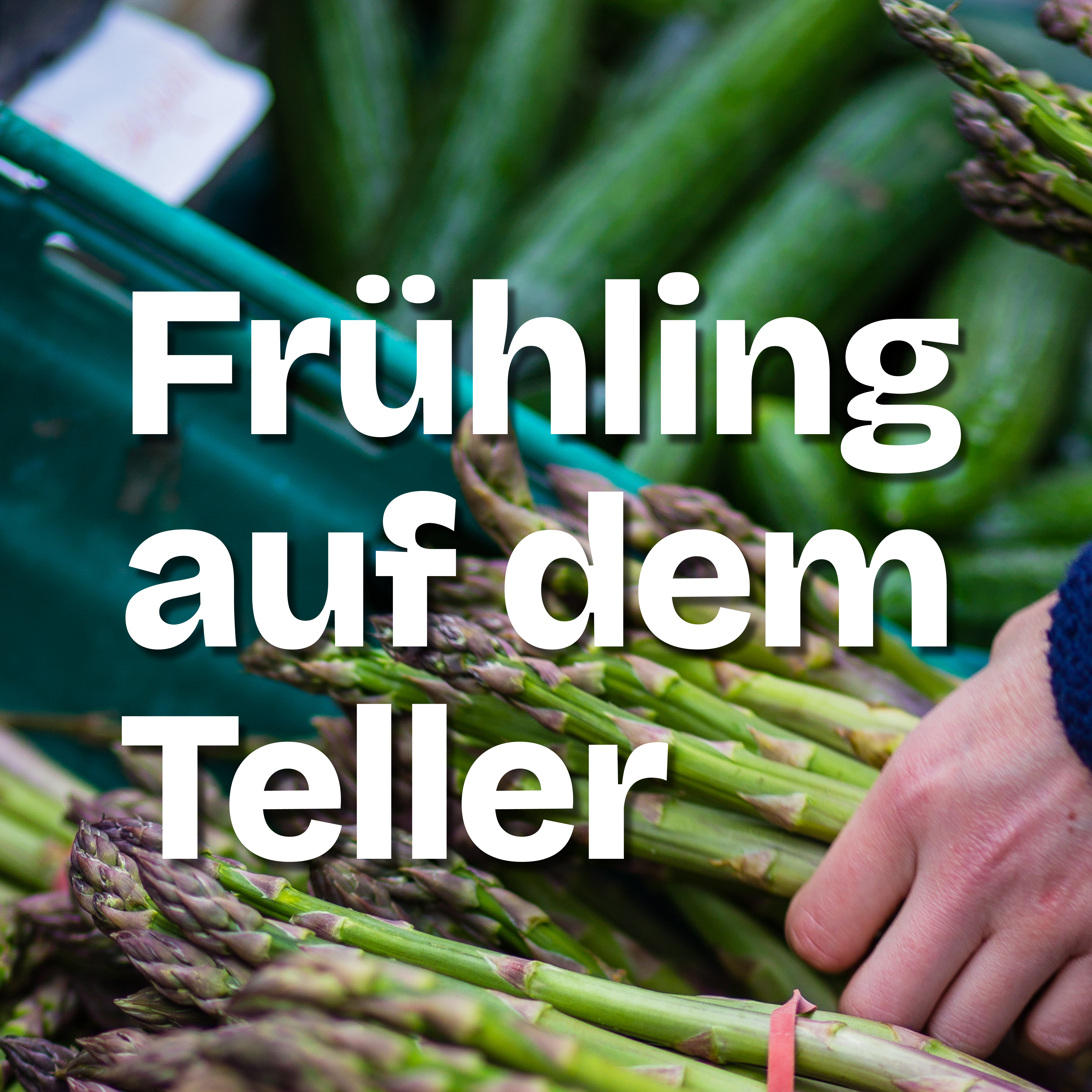 alt visuel custom AoG Spargel